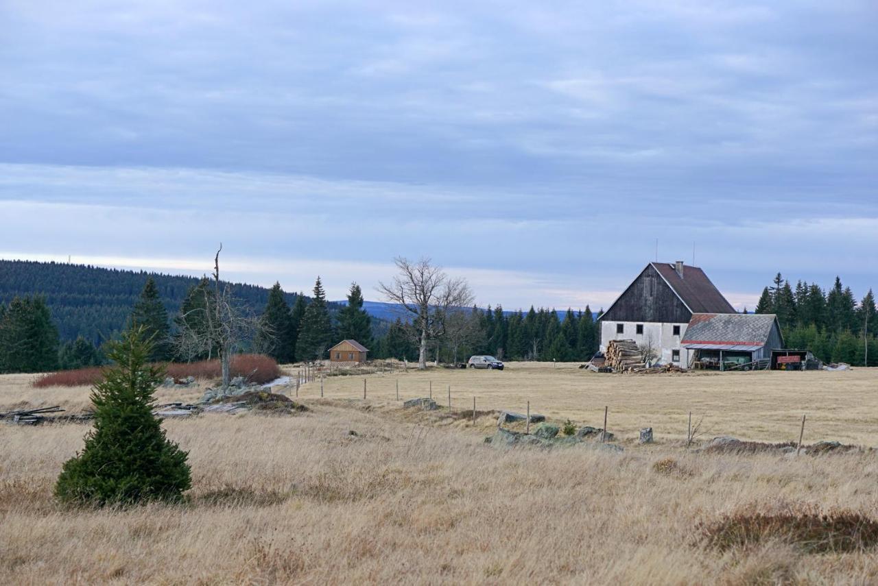 Apartment U Muzea Horni Blatna