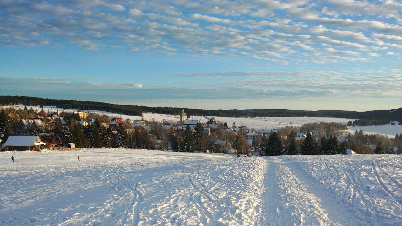Apartment U Muzea Horni Blatna
