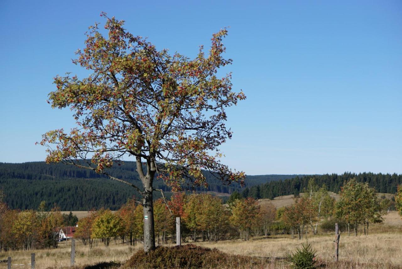 U Muzea * Horni Blatna