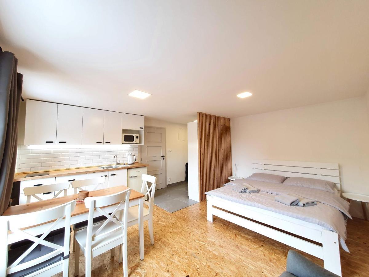 Apartment U Muzea Horni Blatna